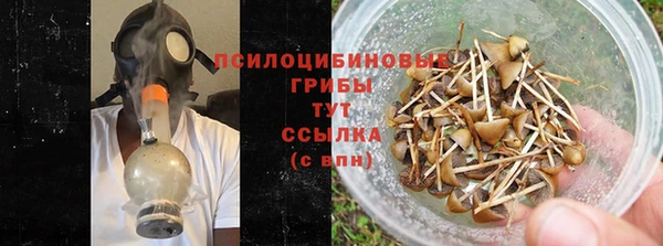 эйфоретик Белокуриха